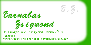 barnabas zsigmond business card